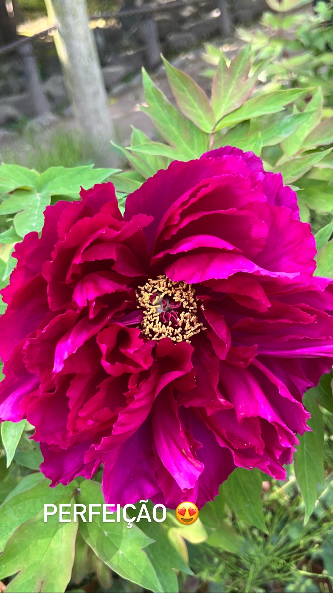 files/0FE7B89E-F2C7-4CC6-94B3-2477B22E5A50.jpg